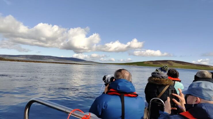 Orkney: 2-Hour Shapinsay Island Speedboat Tour - Booking Options & Tour Guide Availability