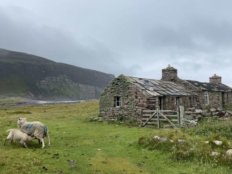 Orkney: Private Tour with Local Guide - Final Thoughts  