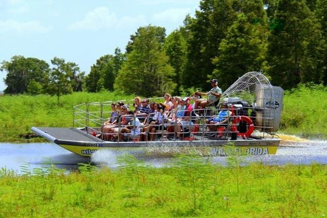 Orlando: Airboat Safari With Transportation - Experience Highlights