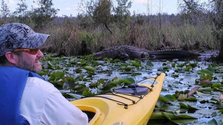 Orlando Alligator Experience: Day-Trip From Orlando - Wildlife and Nature Highlights