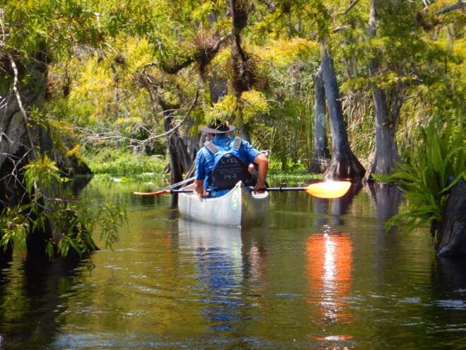 Orlando Alligator Experience: Day-Trip From Orlando - Tour Inclusions and Amenities
