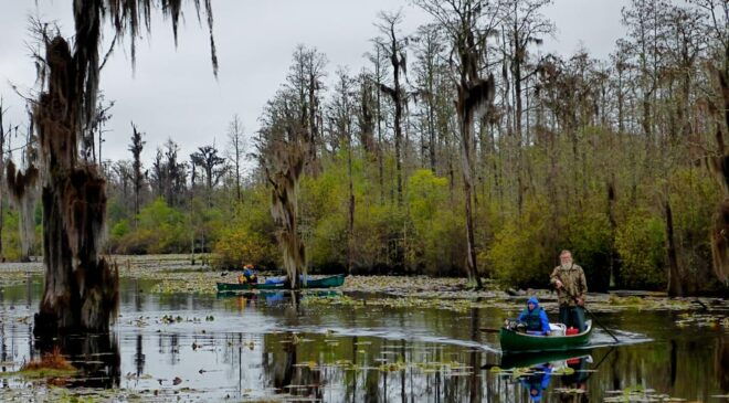 Orlando Alligator Experience: Day-Trip From Orlando - Private Tours and Overnight Options