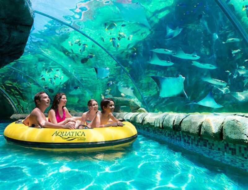 Orlando: Aquatica Water Park Admission Ticket - Authentic Visitor Reviews and Insights