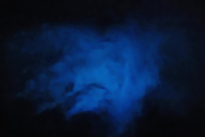 Orlando Bioluminescence Kayak and Swim Adventure - What to Expect