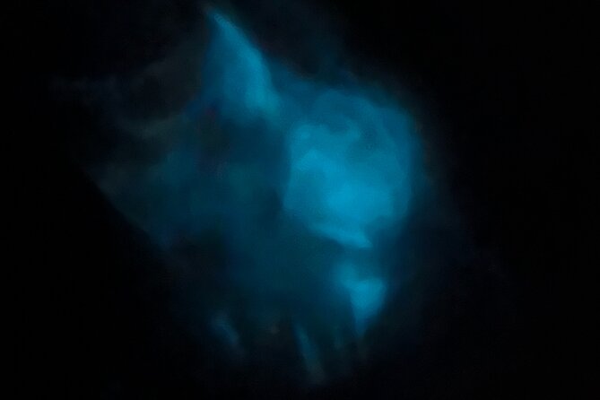 Orlando Bioluminescence Kayak and Swim Adventure - Cancellation Policy
