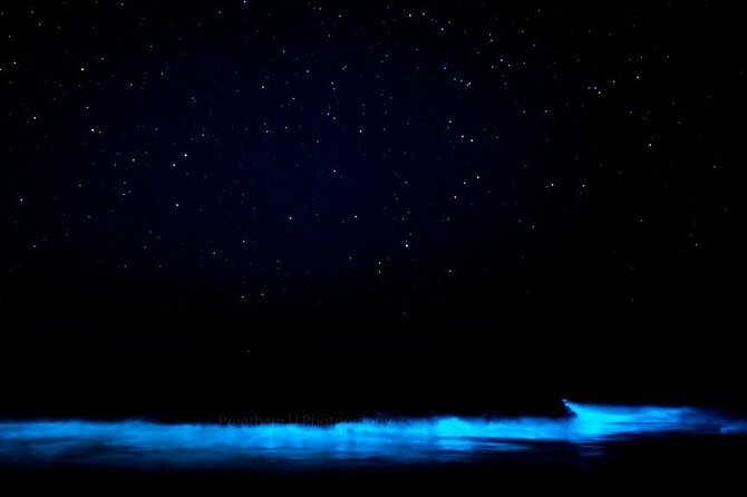 Orlando Bioluminescence Kayak and Swim Adventure - Reviews