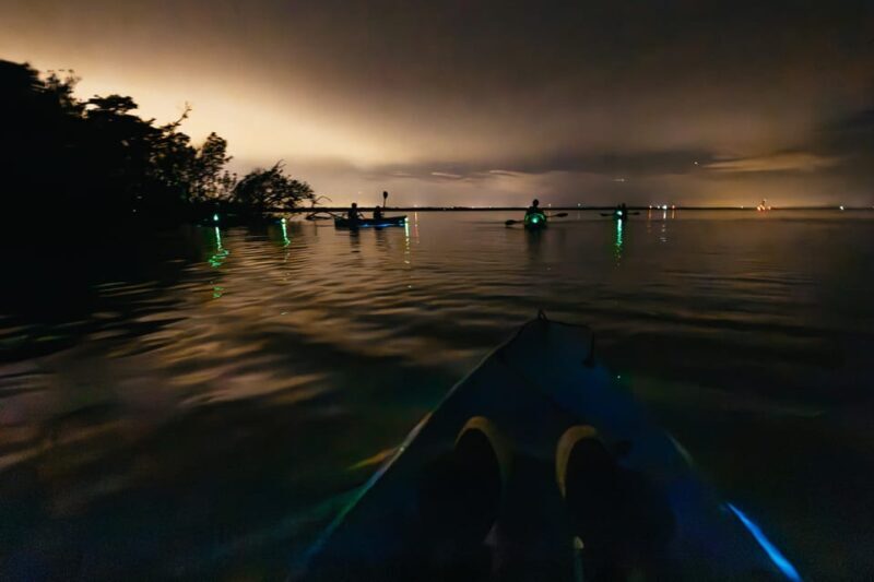 Orlando: Bioluminescence Kayak Tour - The Sum Up