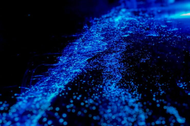 Orlando: Bioluminescence Kayak Tour - Experience Highlights