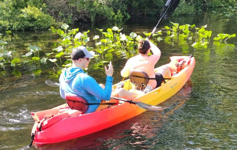 Orlando: Blue Springs Manatee Kayak Tour - Why This Tour Works for You