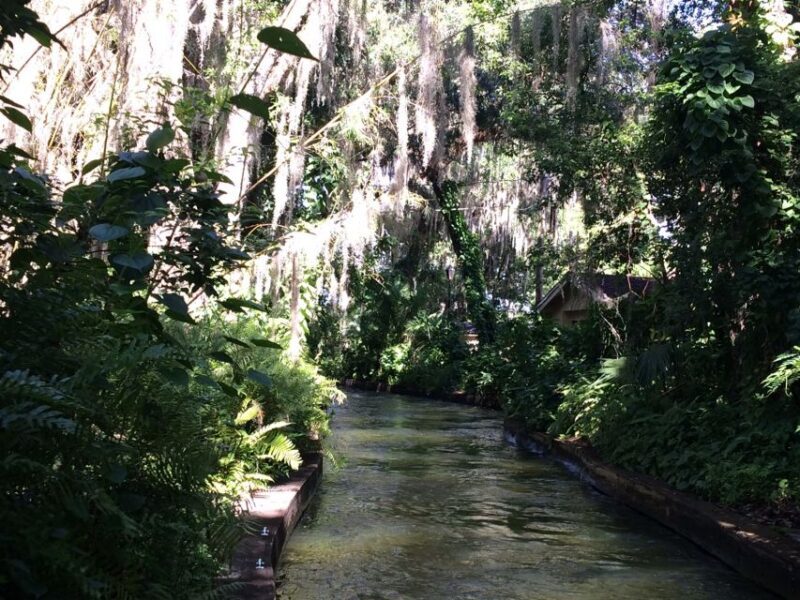 Orlando: City Highlights and Hidden Gems Tour - What Do the Reviews Say? Authentic Insights