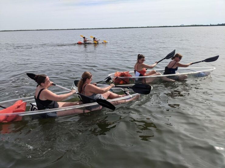 Orlando: Dolphin Clear Kayak or Paddle Board Adventure - Language and Cancellation Policy