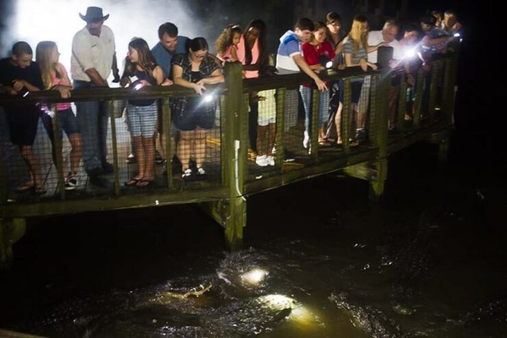 Orlando: Gatorland Flashlight Tour at Night - Experience Details