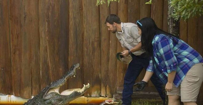 Orlando: Gatorland Interactive Tour With Animal Trainer - Full Description