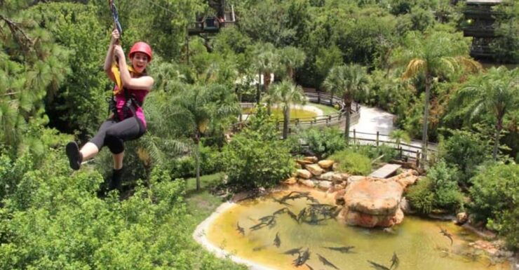 Orlando: Gatorland Zipline Adventure W/ Full-Day Park Access - Good To Know