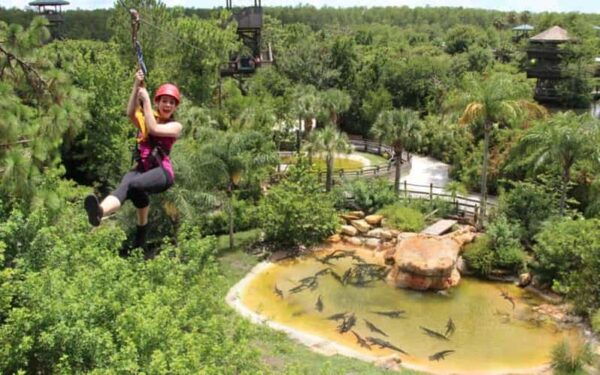Orlando: Gatorland Zipline Adventure W/ Full-Day Park Access - Duration and Access