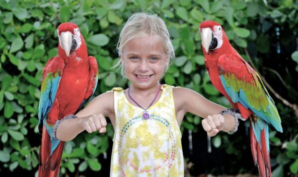 Orlando: Go City All-Inclusive Pass With 15 Attractions - Digital Pass and Guide for Convenience