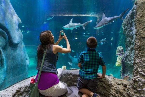 Orlando: Go City Explorer Pass - Choose 2 to 5 Attractions - Common Questions