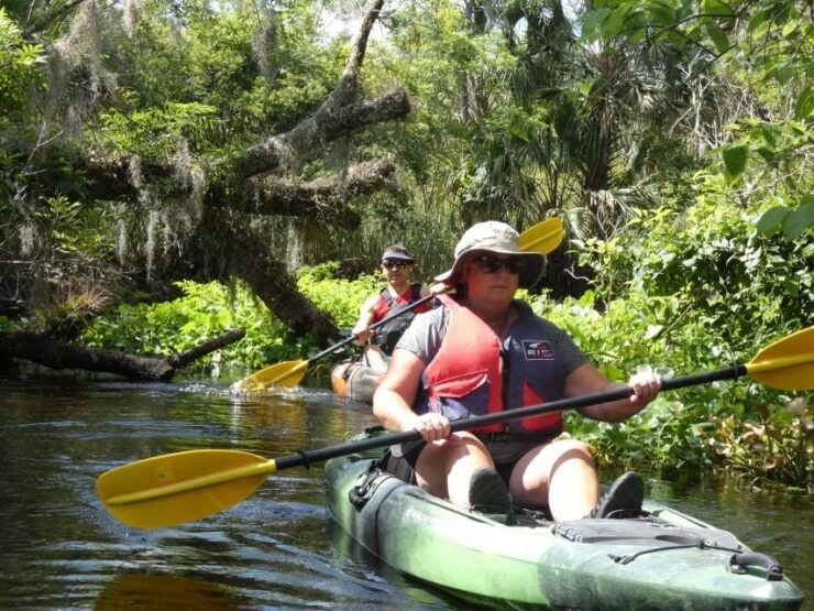 Orlando Kayak Tour: Blackwater Creek Scenic River With Lunch - Experience Highlights