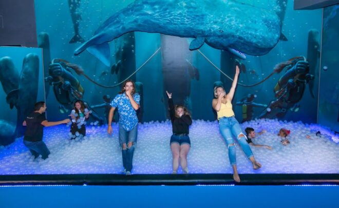 Orlando: Lonely Dog Immersive Art Storytelling Experience - Pricing Details