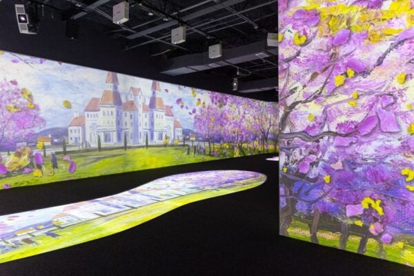 Orlando: Lonely Dog Immersive Art Storytelling Experience - Frequently Asked Questions