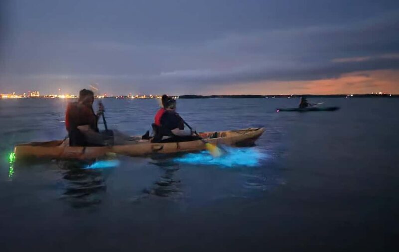 Orlando: Magic After Dark Bioluminescence Kayak Tour - What Is the Orlando Magic After Dark Bioluminescence Kayak Tour?