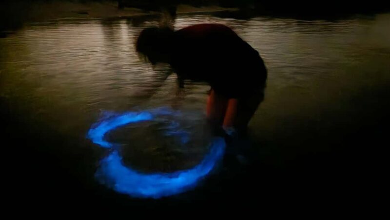 Orlando: Magic After Dark Bioluminescence Kayak Tour - The Value of This Experience