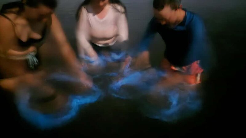 Orlando: Magic After Dark Bioluminescence Kayak Tour - Who Will Love This Tour?