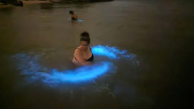 Orlando: Magic After Dark Bioluminescence Kayak Tour - Practical Tips for Your Bioluminescence Kayak Adventure