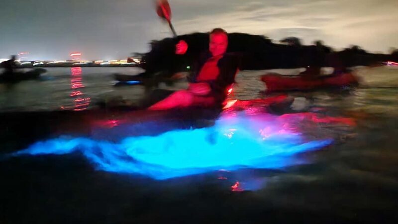 Orlando: Magic After Dark Bioluminescence Kayak Tour - The Sum Up