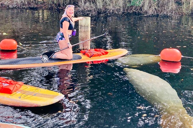 Orlando Manatee and Natural Spring Adventure Tour at Blue Springs - Essential Information and Contact Details