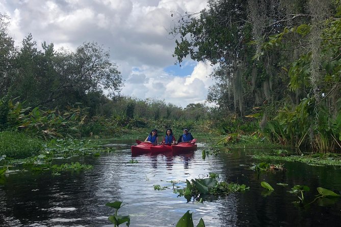 Orlando Manatee Encounters - Pricing and Booking