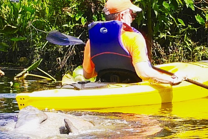Orlando Manatee Encounters - End Point
