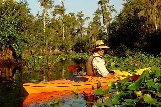 Orlando Manatee Encounters - What To Expect