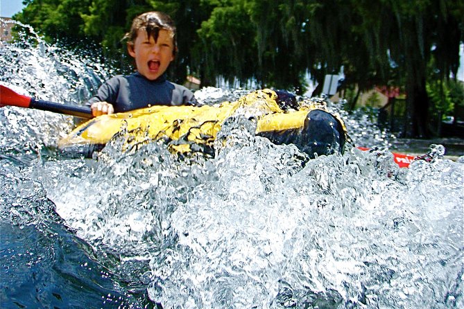 Orlando Manatee Encounters - Overall Recommendation