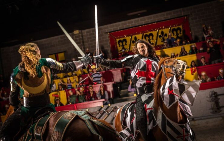 Orlando: Medieval Times Dinner and Show Ticket - Ticket Details