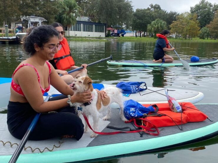 Orlando: Paddle With Pups in Paradise - Paddleboard or Kayak - Activity Details
