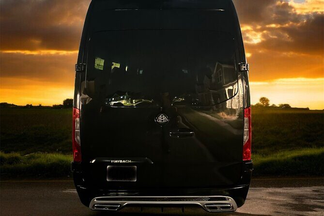 Orlando Private Luxury Service - What You Can Expect from This Orlando Private Luxury Service