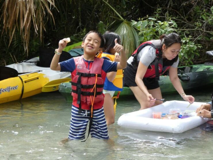 Orlando: Small Group Rock Springs Run Kayak Tour - Good To Know