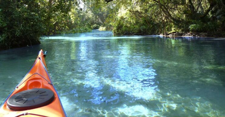 Orlando: Small Group Rock Springs Run Kayak Tour - Experience