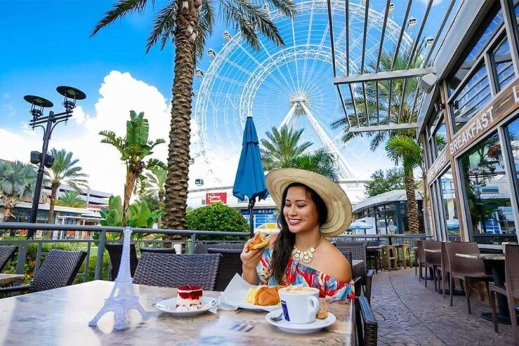 Orlando: The Wheel at ICON Park Observation Wheel Options - Experience Highlights