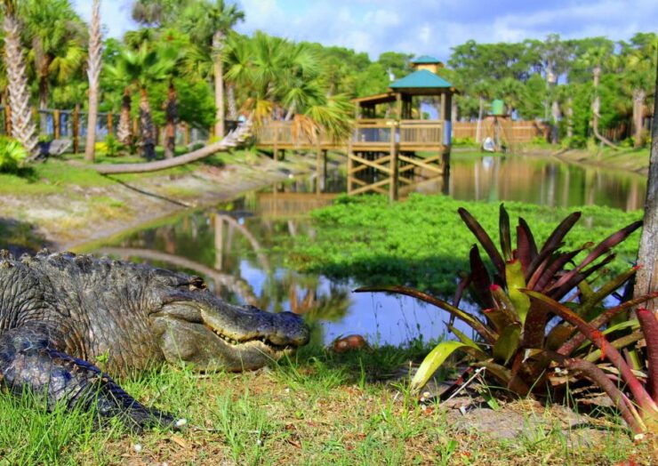 Orlando: Wild Florida Airboat Ride With Transport & Lunch - Activity Details