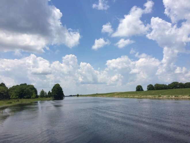 Orlando: Wild Florida Airboat Ride With Transport & Lunch - Customer Reviews