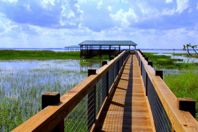 Orlando: Wild Florida Airboat Ride With Transport & Lunch - The Sum Up
