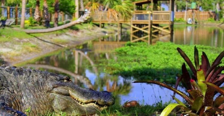 Orlando: Wild Florida Airboats & Gator Park Experience - Booking and Cancellation Policy