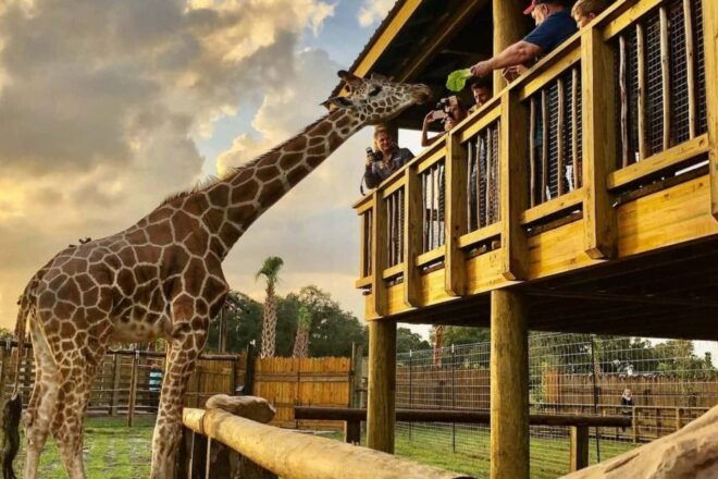 Orlando: Wild Florida Airboats & Gator Park Experience - Customer Reviews