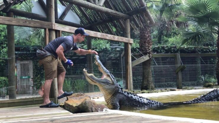 Orlando: Wild Florida Park, Gator Show & Animal Encounters - Ticket Details