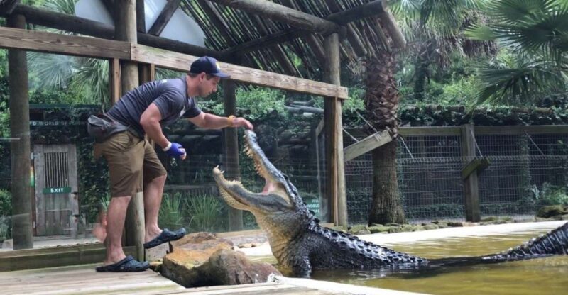 Orlando: Wild Florida Park Ticket and Gator Shows - The Tropical Bird Aviary & Additional Attractions