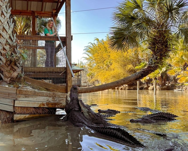 Orlando: Wild Florida Park Ticket and Gator Shows - The Practicalities: Timing, Group Size, and Cost-Effectiveness