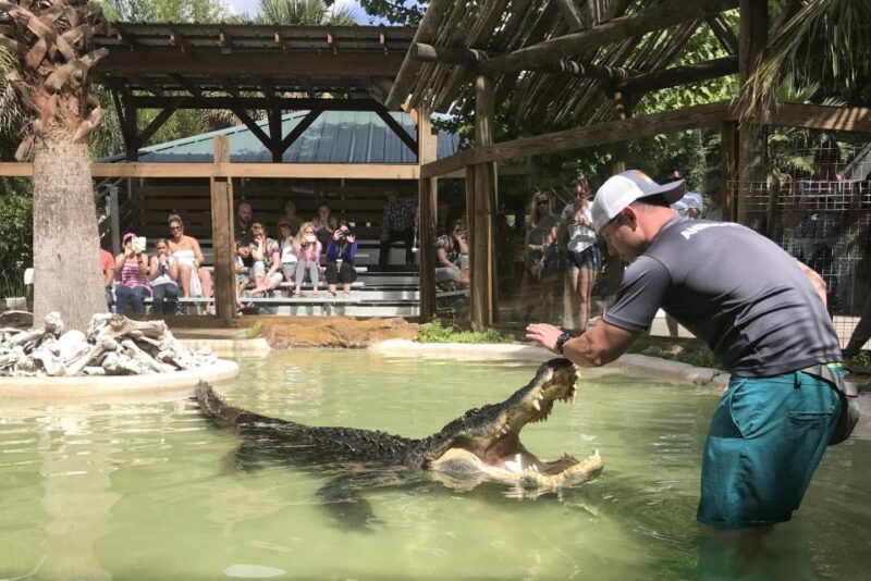 Orlando: Wild Florida Park Ticket and Gator Shows - Authenticity & Visitor Insights