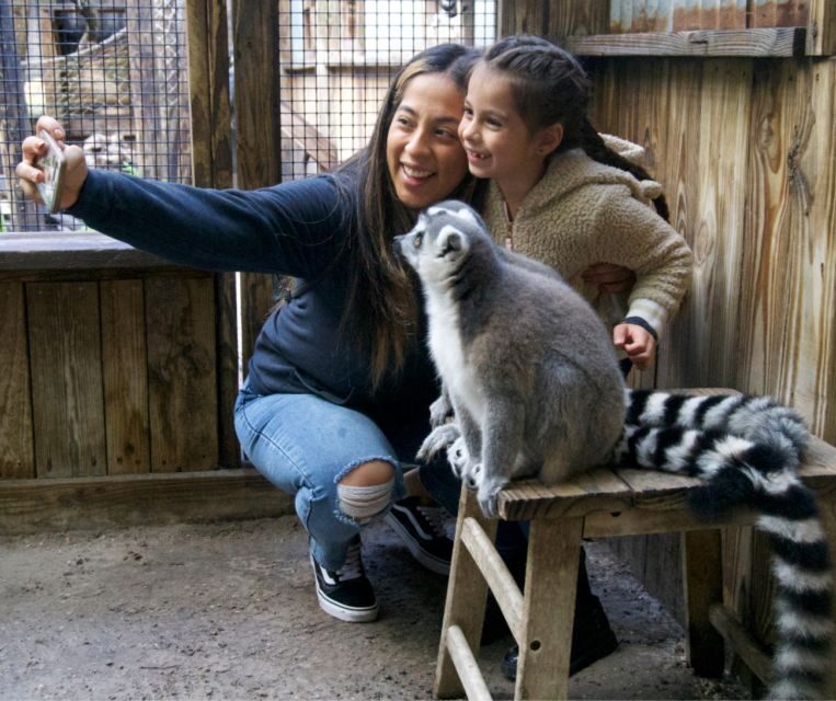 Orlando: Wild Florida Park Ticket and Gator Shows - Who Will Love This Experience?